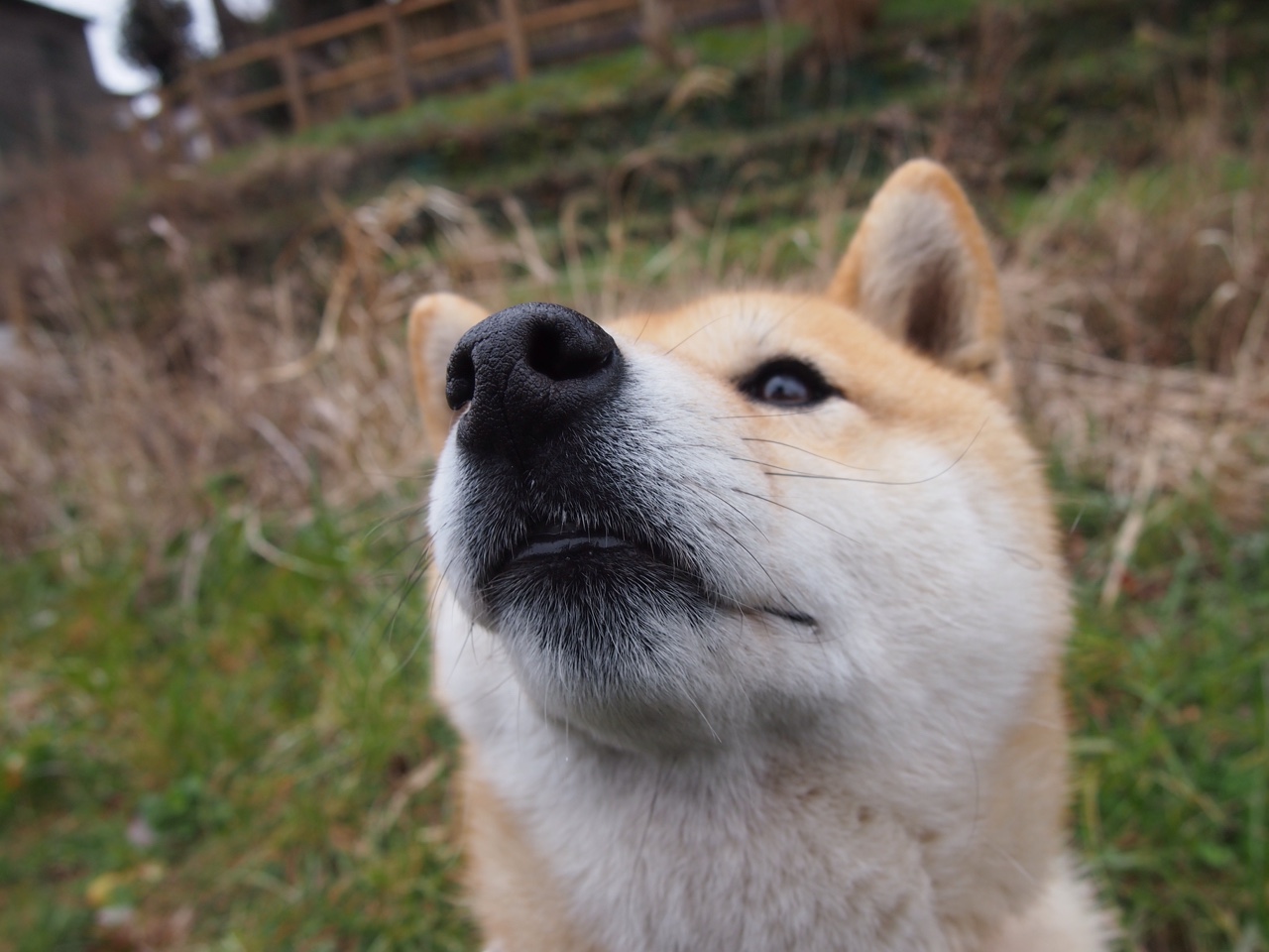 _女单新王登场:新人破坏旧格局_,女单选手