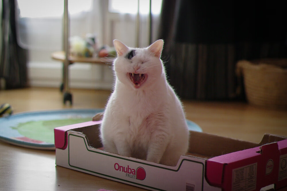 kaiyun开云·官方网站-“史诗一战！两队鏖战五局，战术与技巧的巅峰对决”