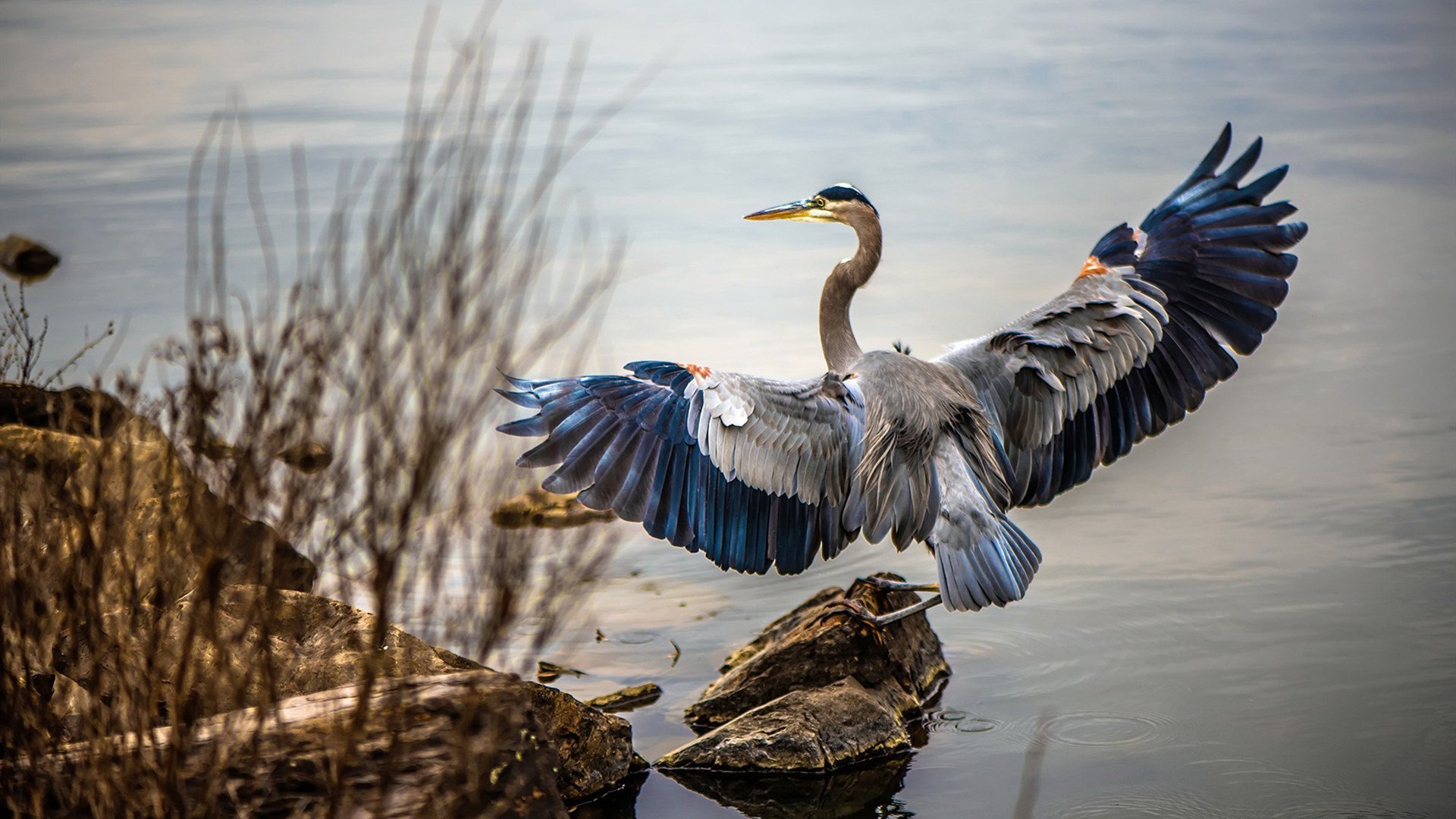 开云kaiyun-局中玄机：比赛中你不知道的战术秘密，中局战术是什么意思