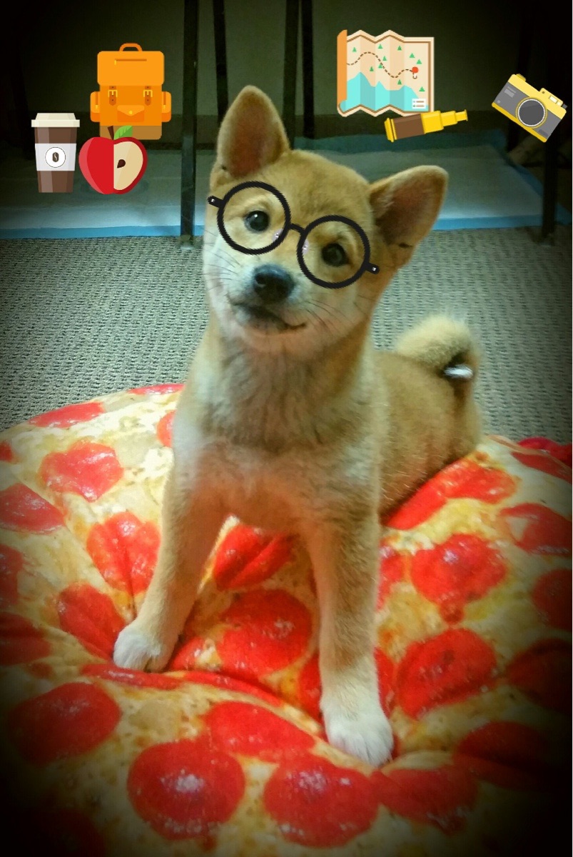 费城76人目标锁定东部第一,季后赛争霸路在脚下!,费城76人在哪个城市