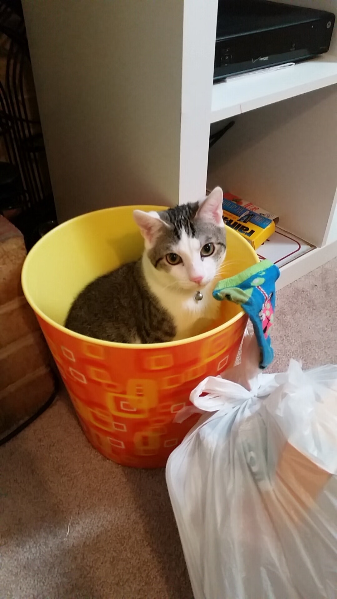 开云中国大陆-匈牙利国家队实现欧洲杯正赛资格，豪取四连胜，匈牙利欧洲杯预选赛成绩