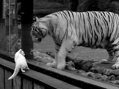 kaiyun体育app-强者胜出：比赛中诞生出不少顶尖的豪强，强者出征后面一句