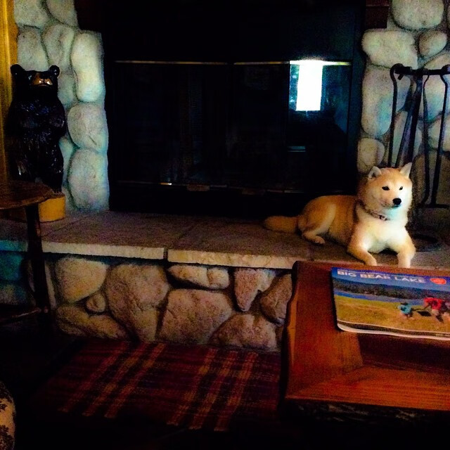 kaiyun开云·官方网站-登贝莱加盟巴塞罗那，登贝莱踢飞巴萨欧冠