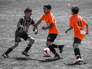 kaiyun.com-NBA球员训练营活动，nba球员训练营活动安排