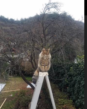 开云网站-“垒球赛：新都兴城赛场，胜利就在眼前！”