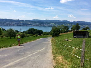 kaiyun.com-“缆绳滑水：东桃花岛赛场呈现全新水上运动魅力”