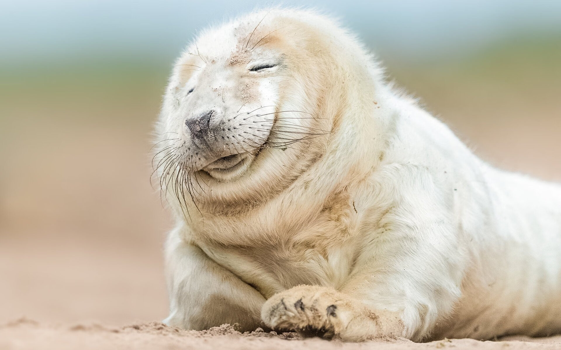 Kaiyun官方登录入口-乒乓球基层教练考核制度正式施行，乒乓球教练员岗位培训