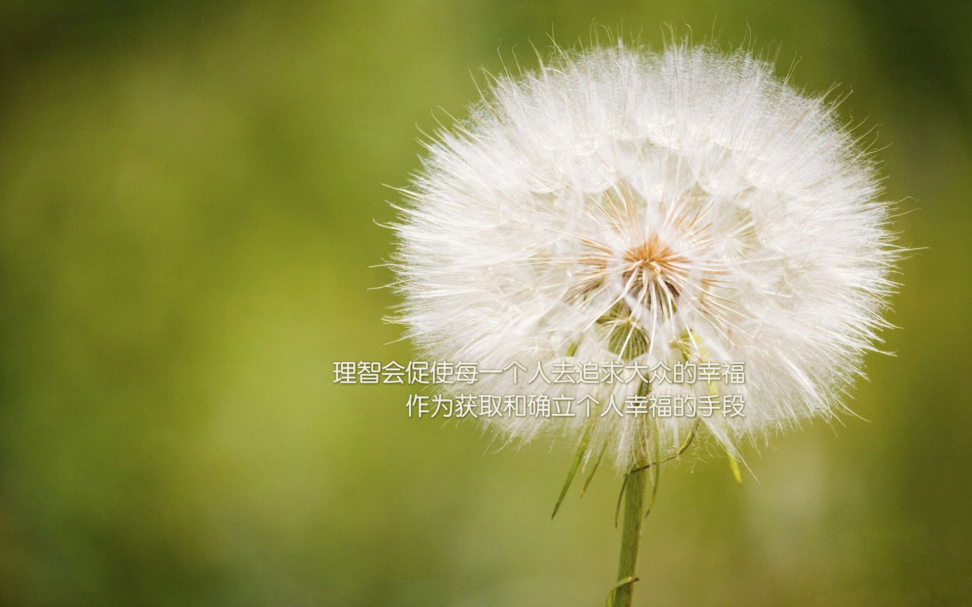 开云·Kaiyun网页版-战队赛前闭门训练全力冲刺关键比赛，闭门比赛是什么意思