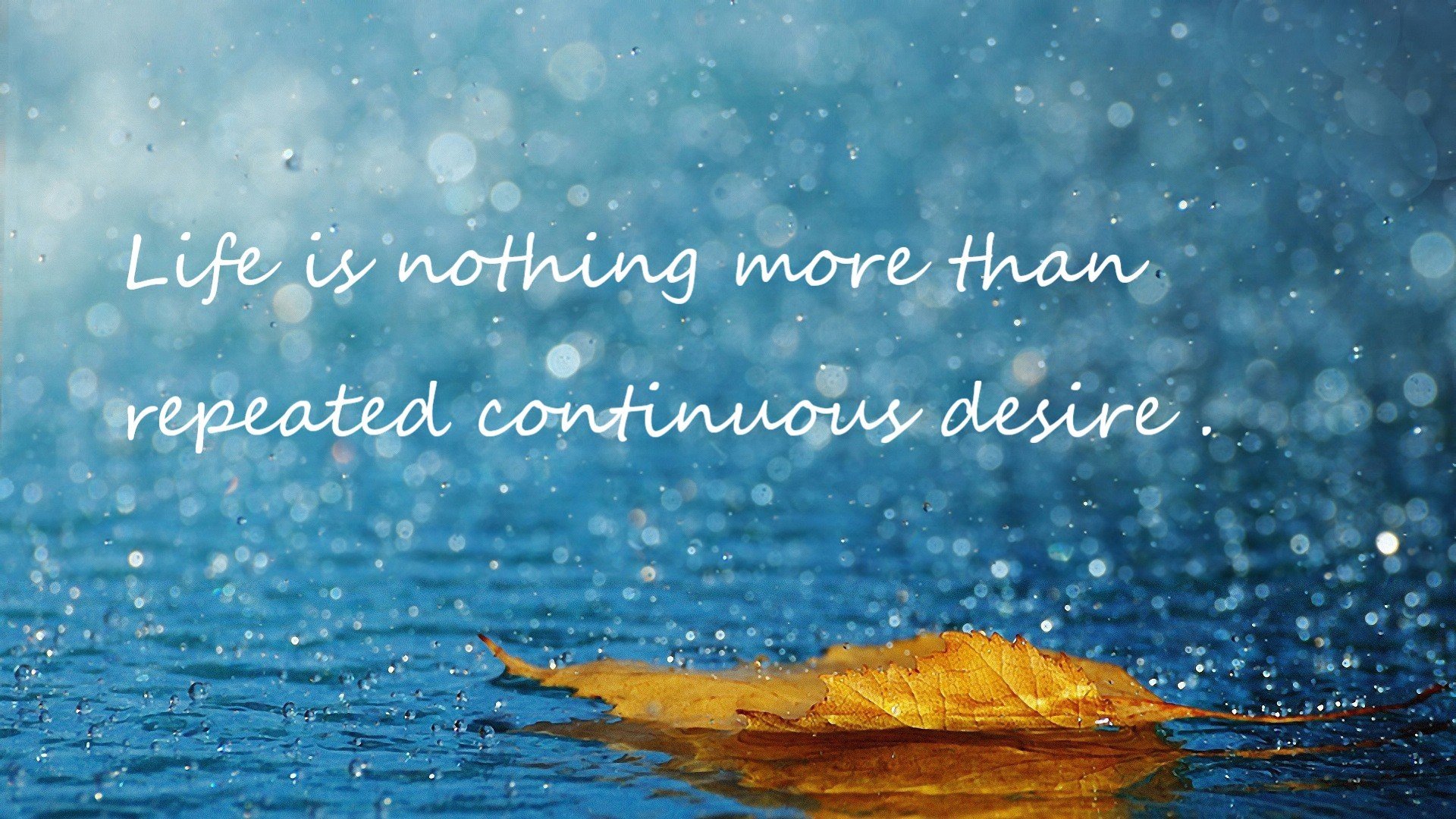 开云官网-朗斯稳扎稳打提升积分排名，朗斯品牌