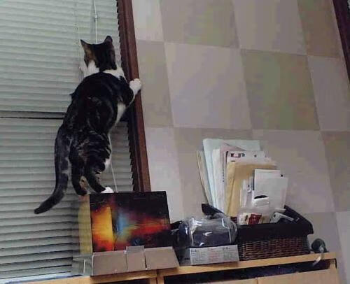 Kaiyun APP-世界杯战略大演练：变阵、奇兵，精彩不断！，世界杯讲解