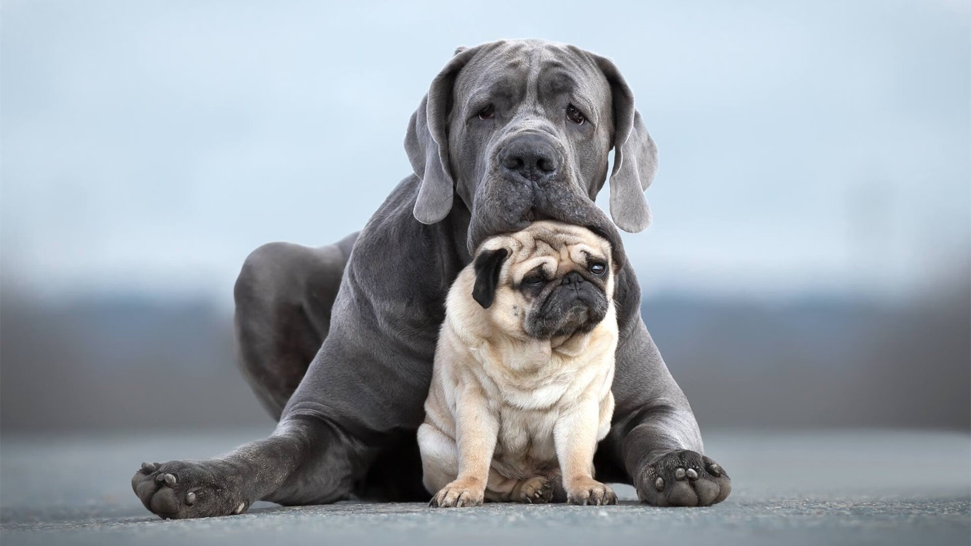 开云kaiyun-法甲刷新纪录：新星崭露头角，未来可期！，法甲新赛季开赛日期