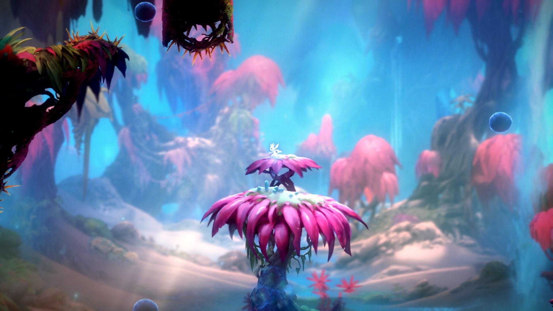 王楚钦赛后表示感谢现场观众,王楚钦什么水平