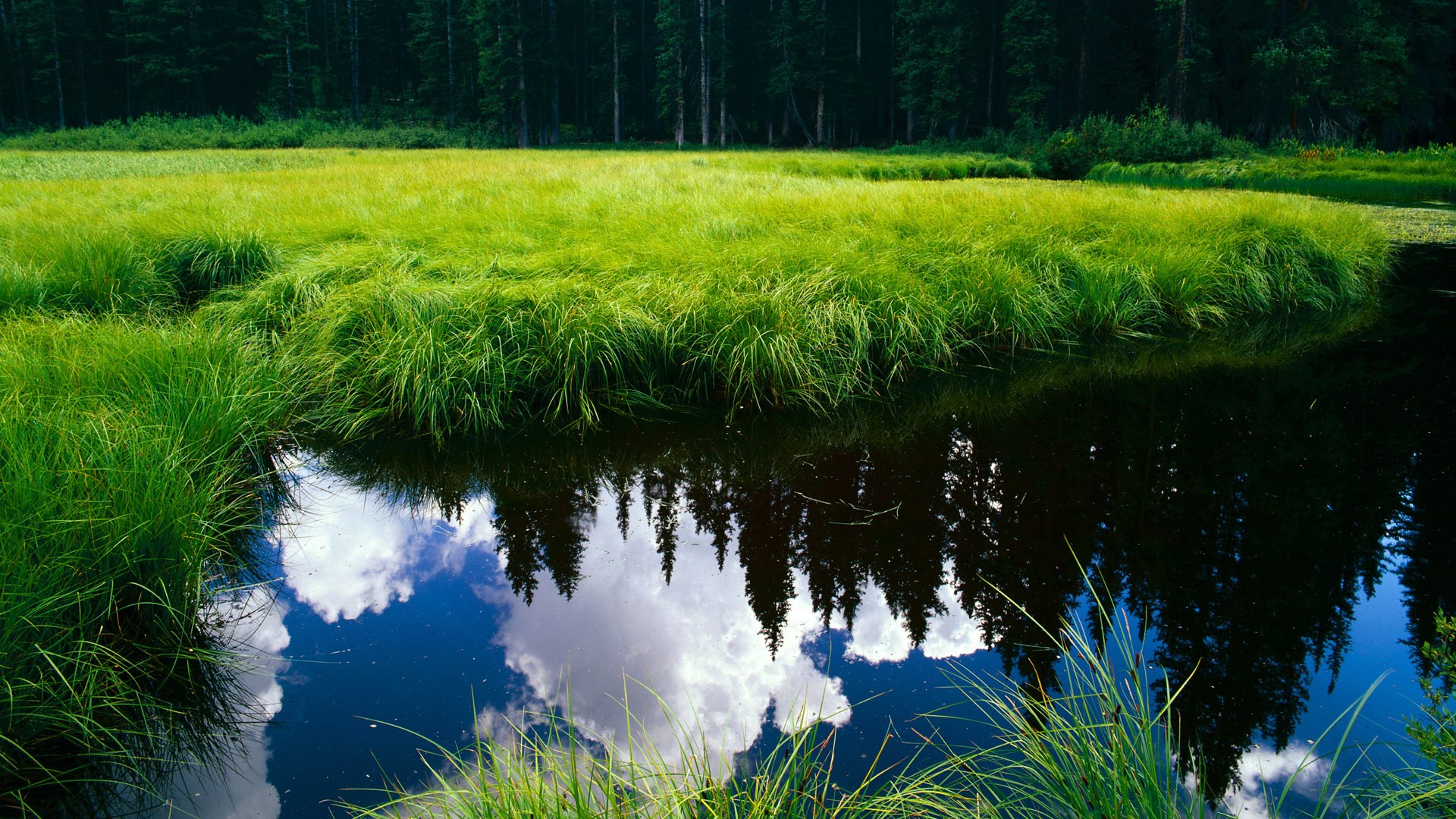 kaiyun登录入口-赛事场地提前开放训练对抗性热身增强适应能力与配合默契