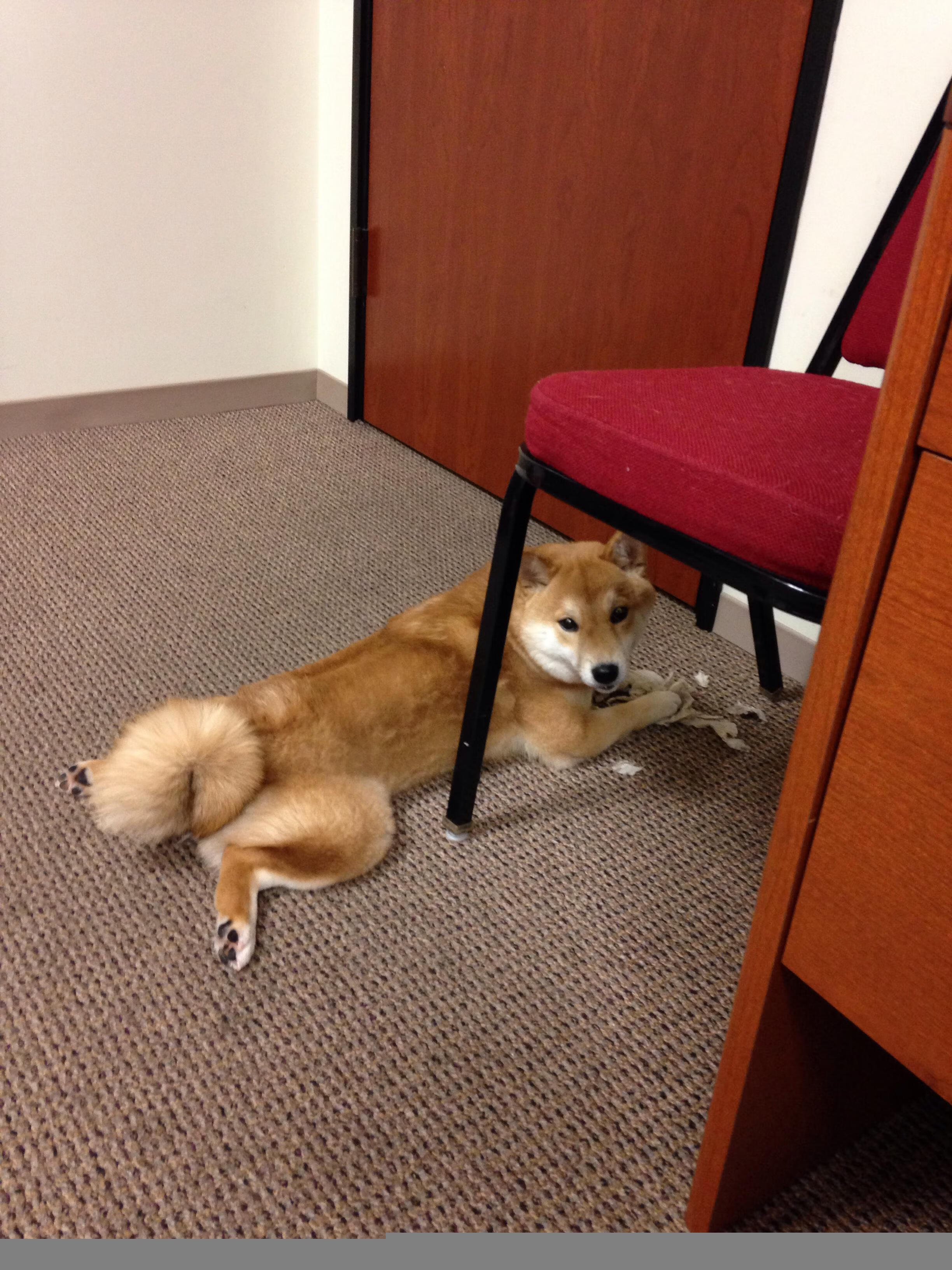 kaiyun网站-青训营引入心理素质训练提升球员抗压能力，球队青训